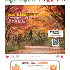 황령산 편백숲에서 가을을 걷다